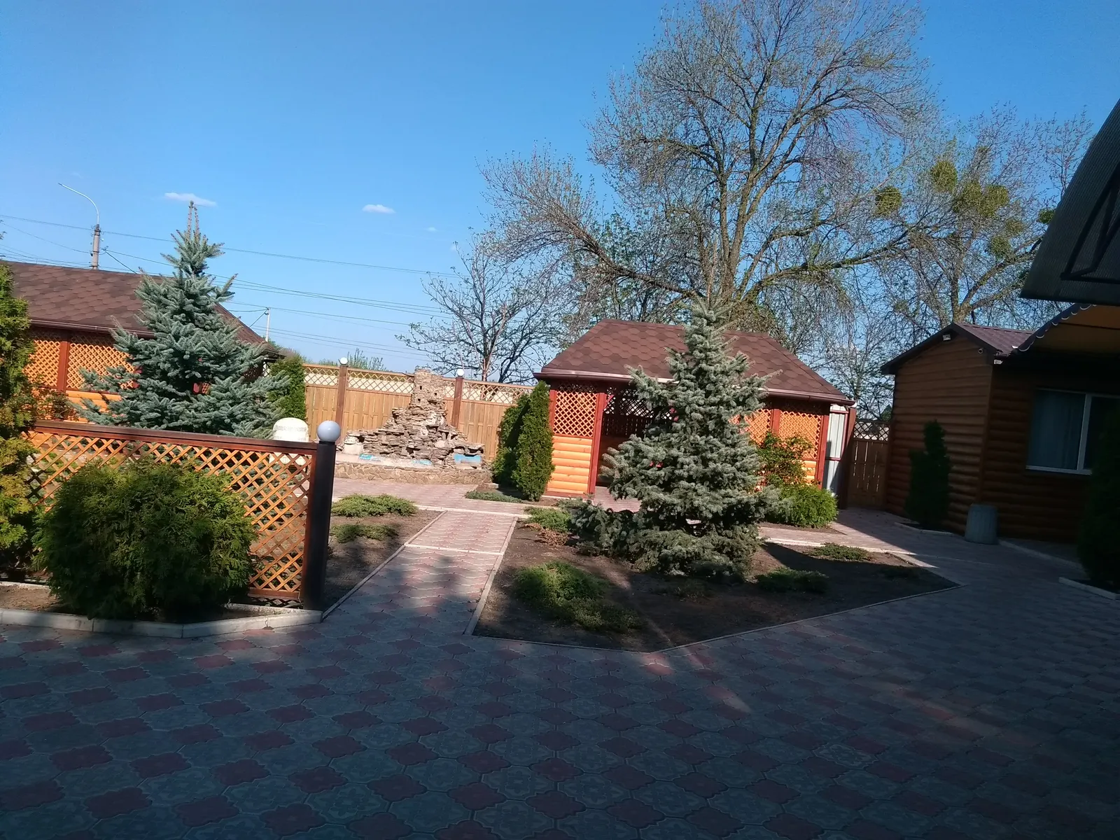Shafran image 6