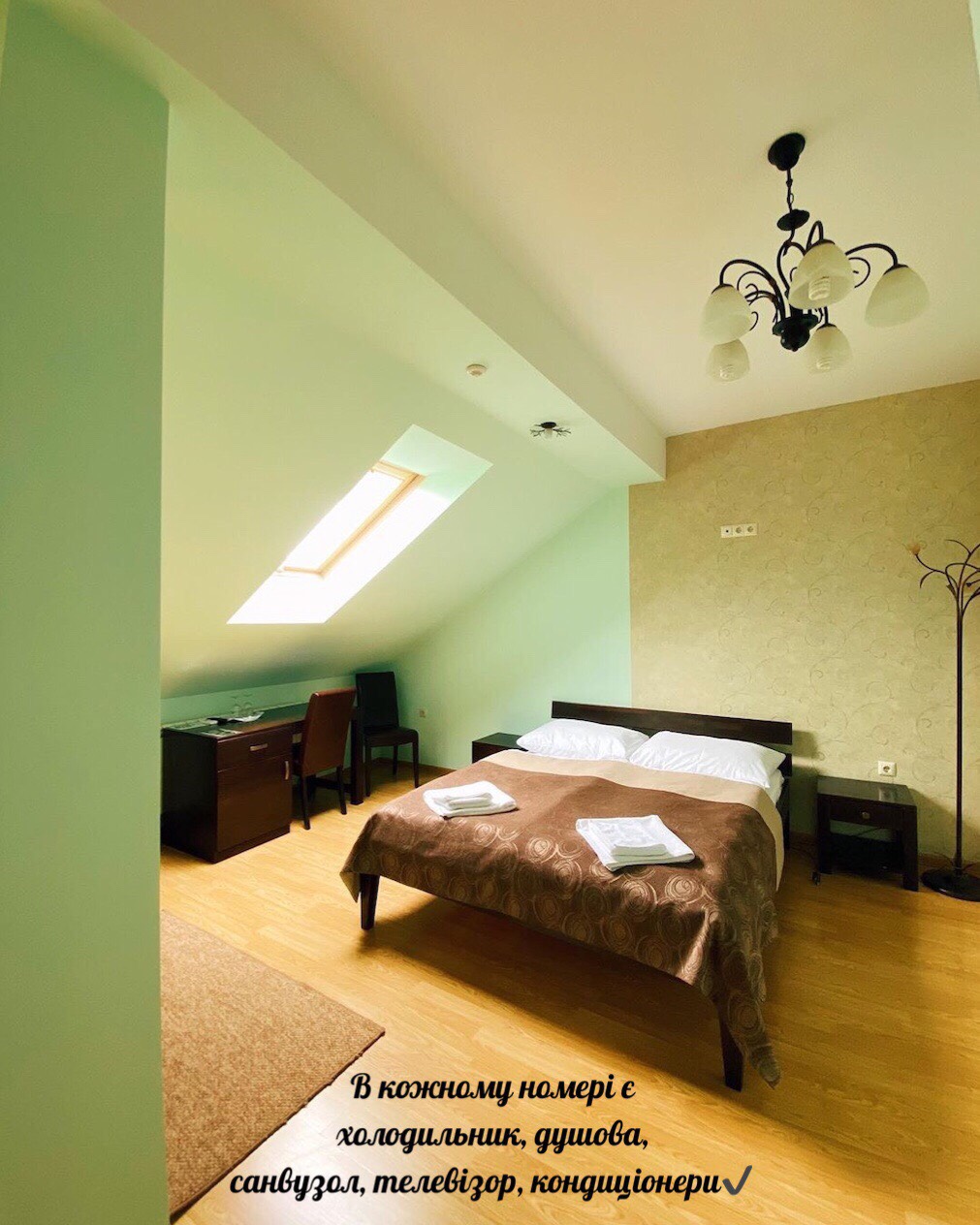 Premiera image 11