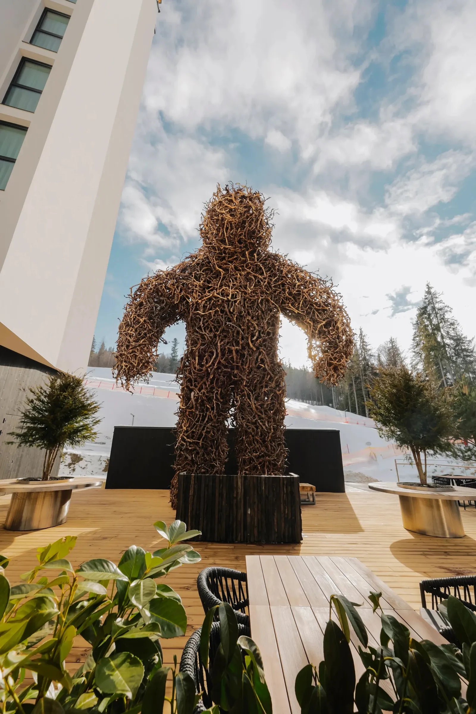 Yeti Terrace image 12