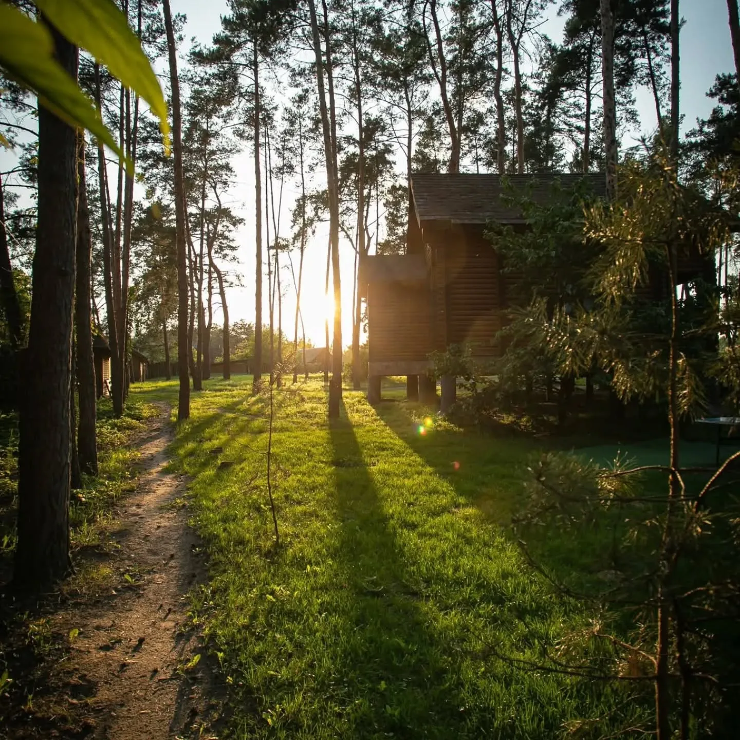 Чумацький шлях image 24