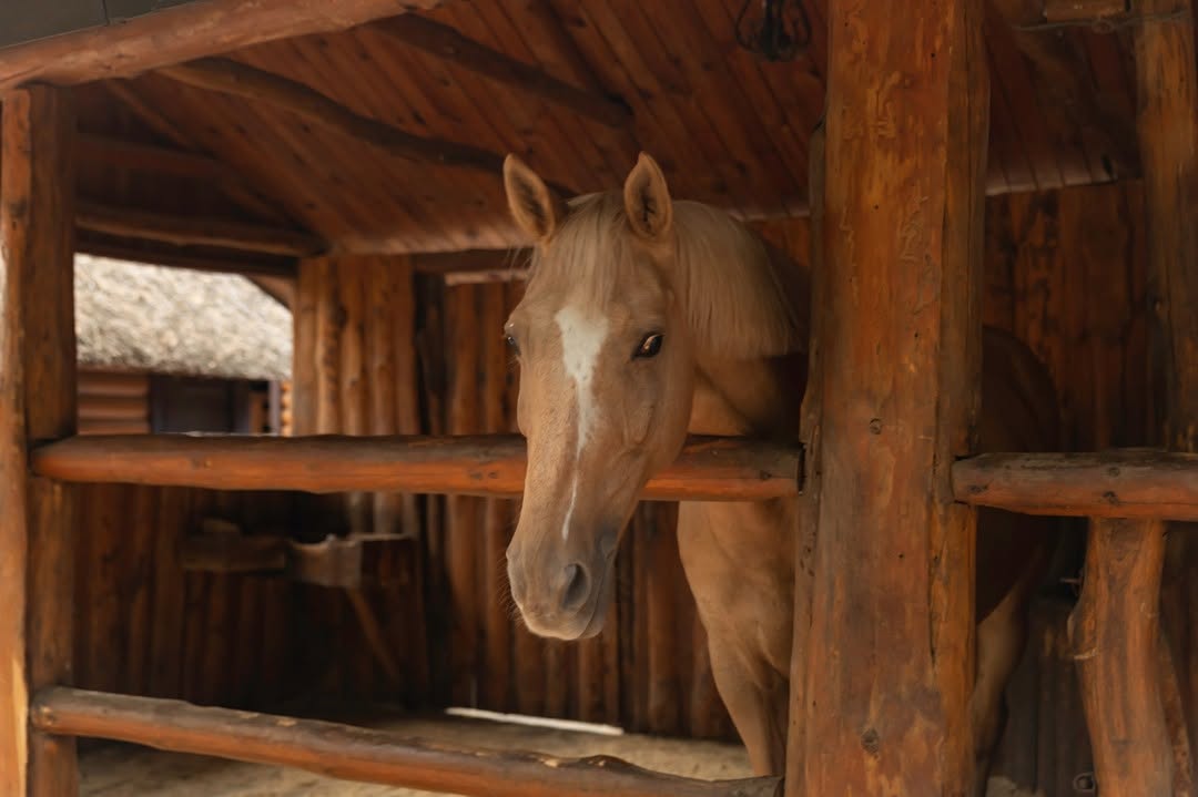 Чумацький шлях image 25