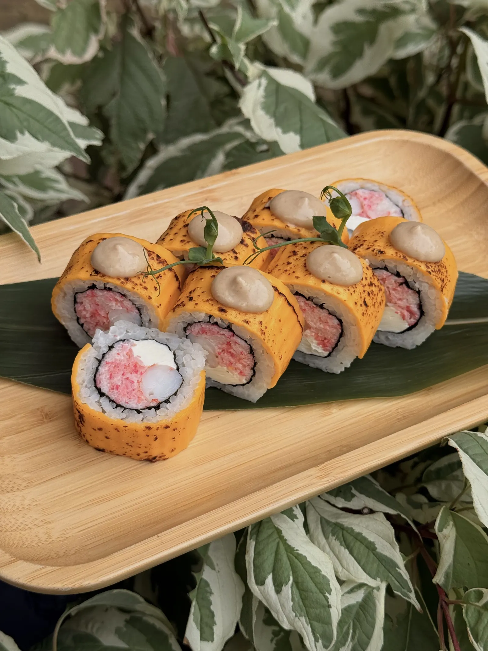 Pandaaa Sushi image 21