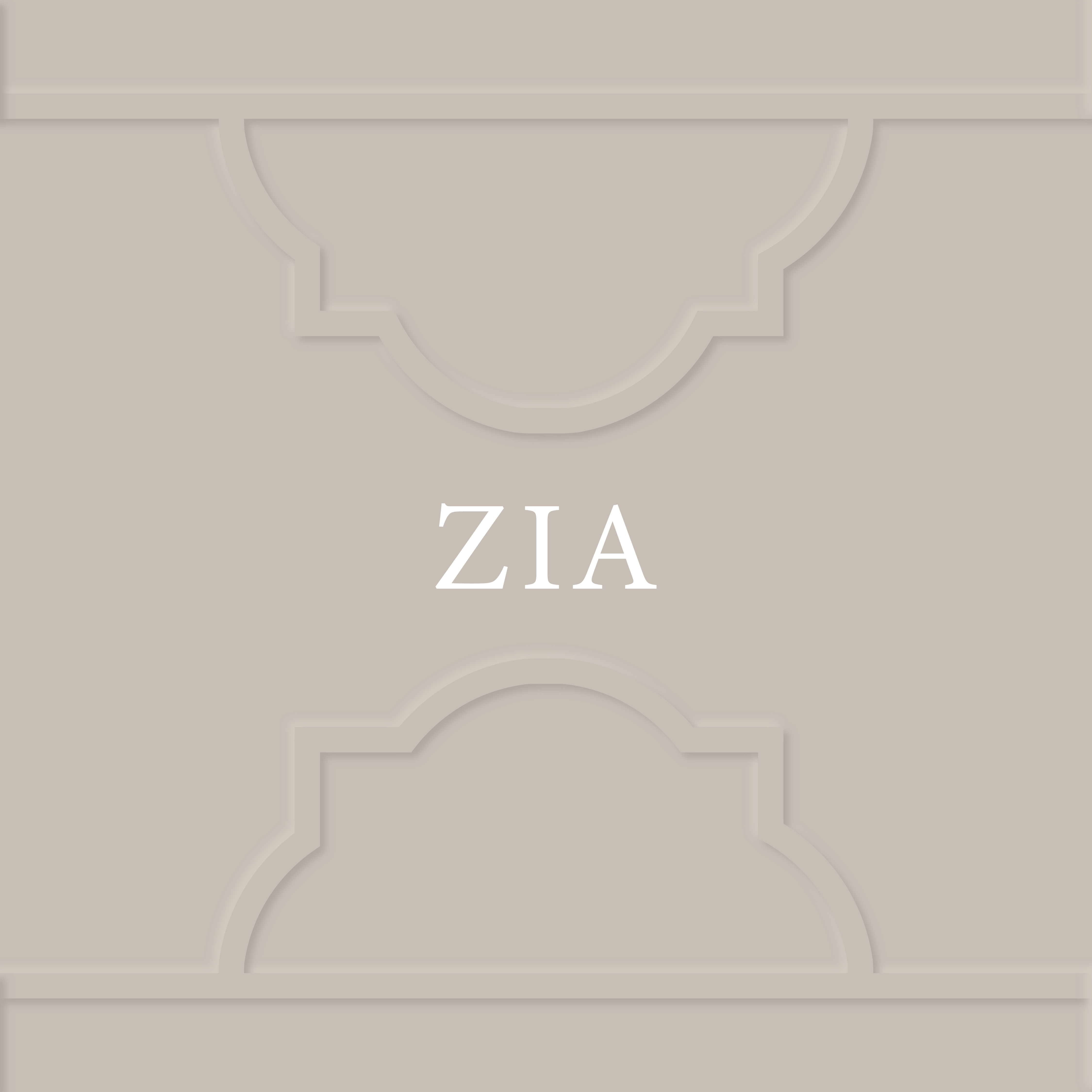 ZIA image 3
