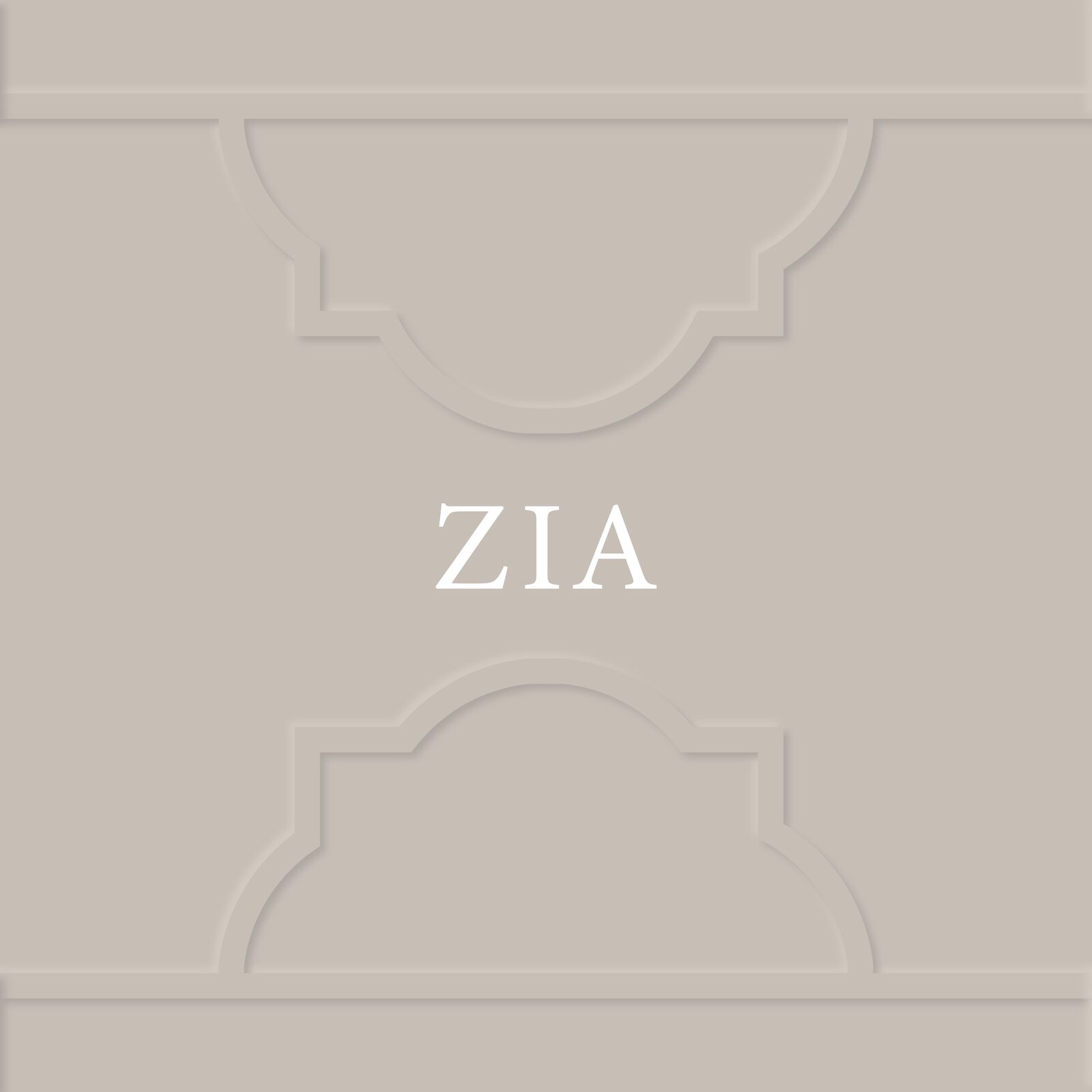 ZIA image 3