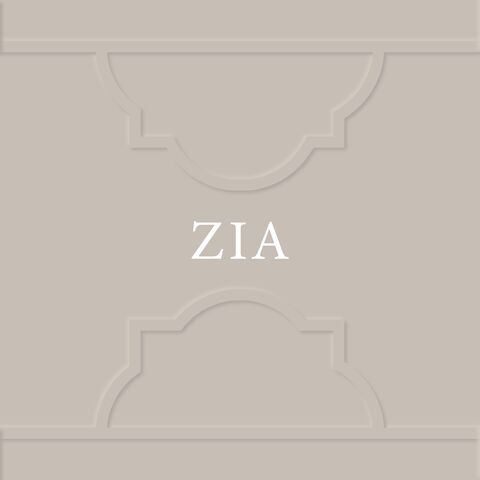 ZIA image 3