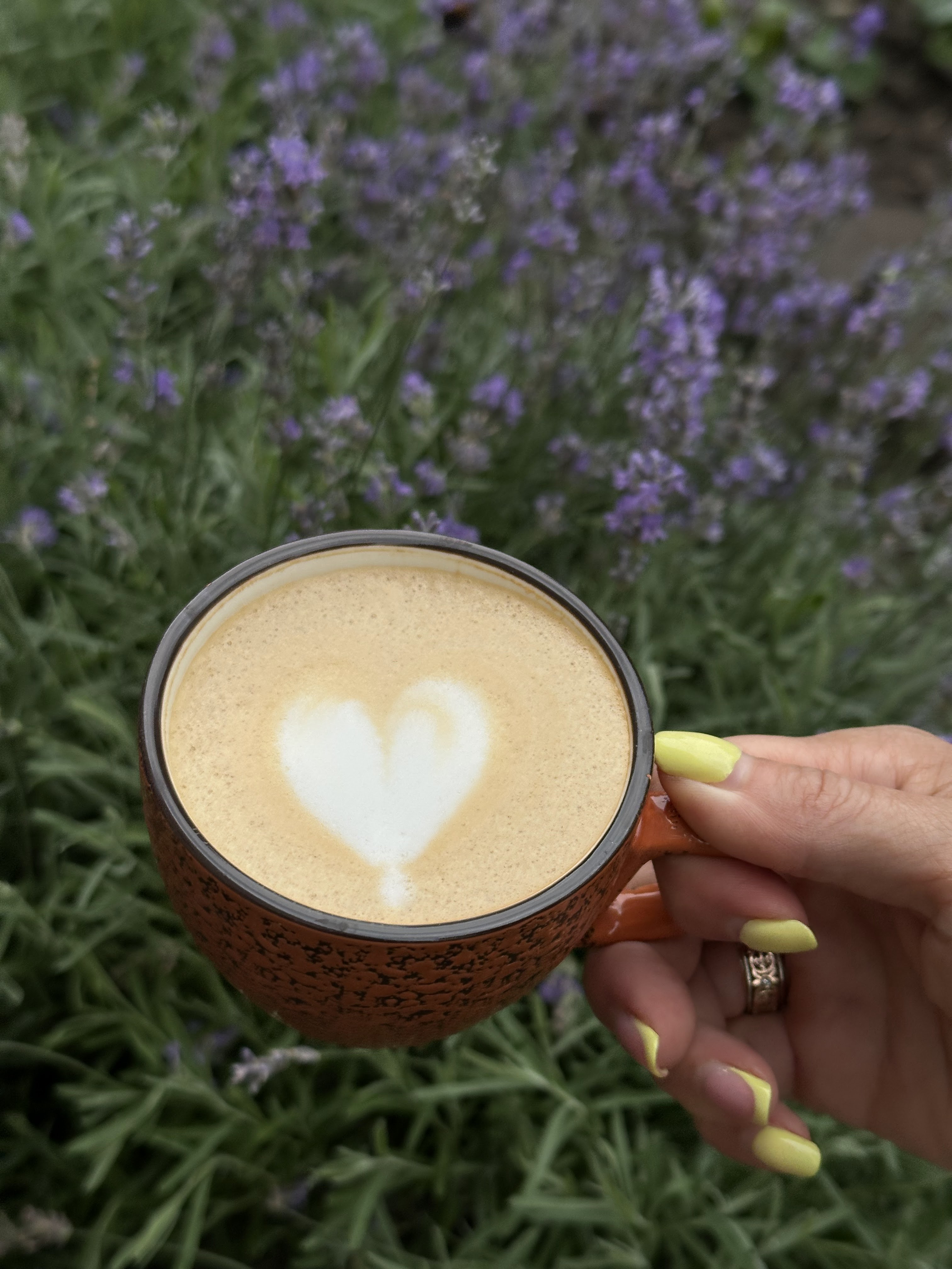 ElVo Cafe image 24