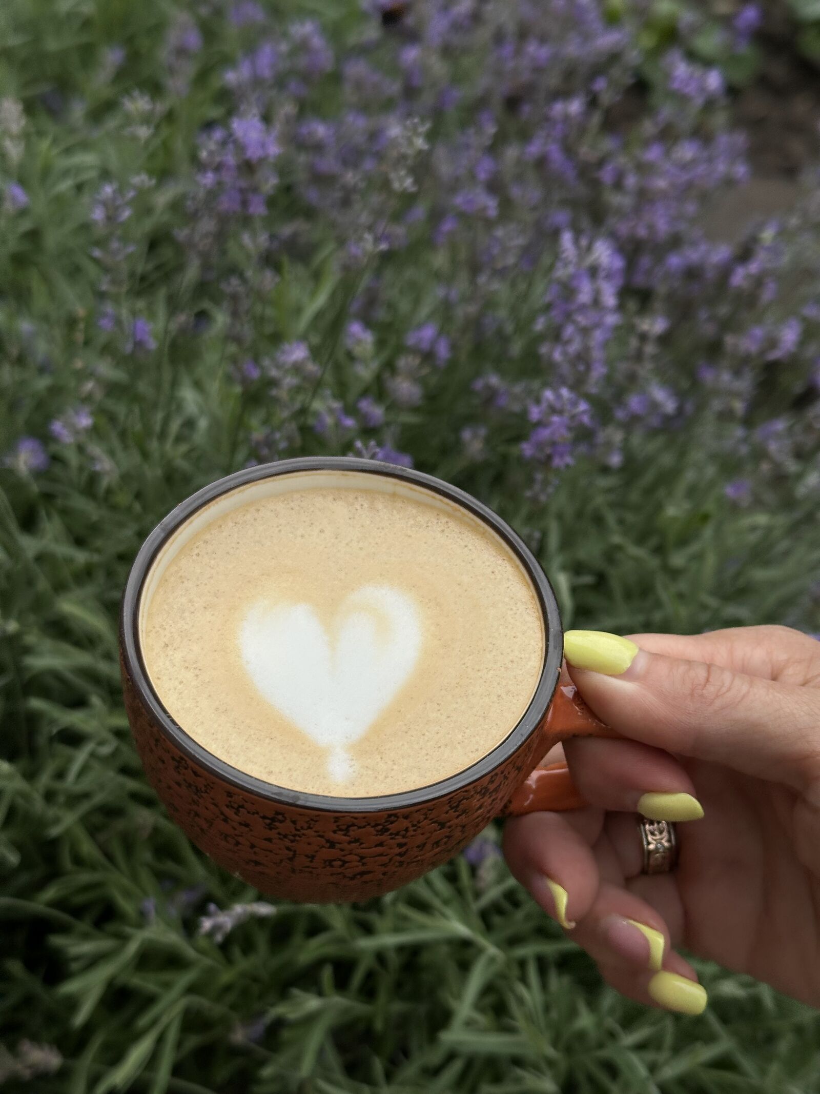 ElVo Cafe image 24
