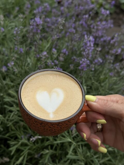 ElVo Cafe image 24