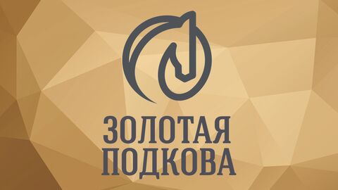 Zolota pidkova image 2