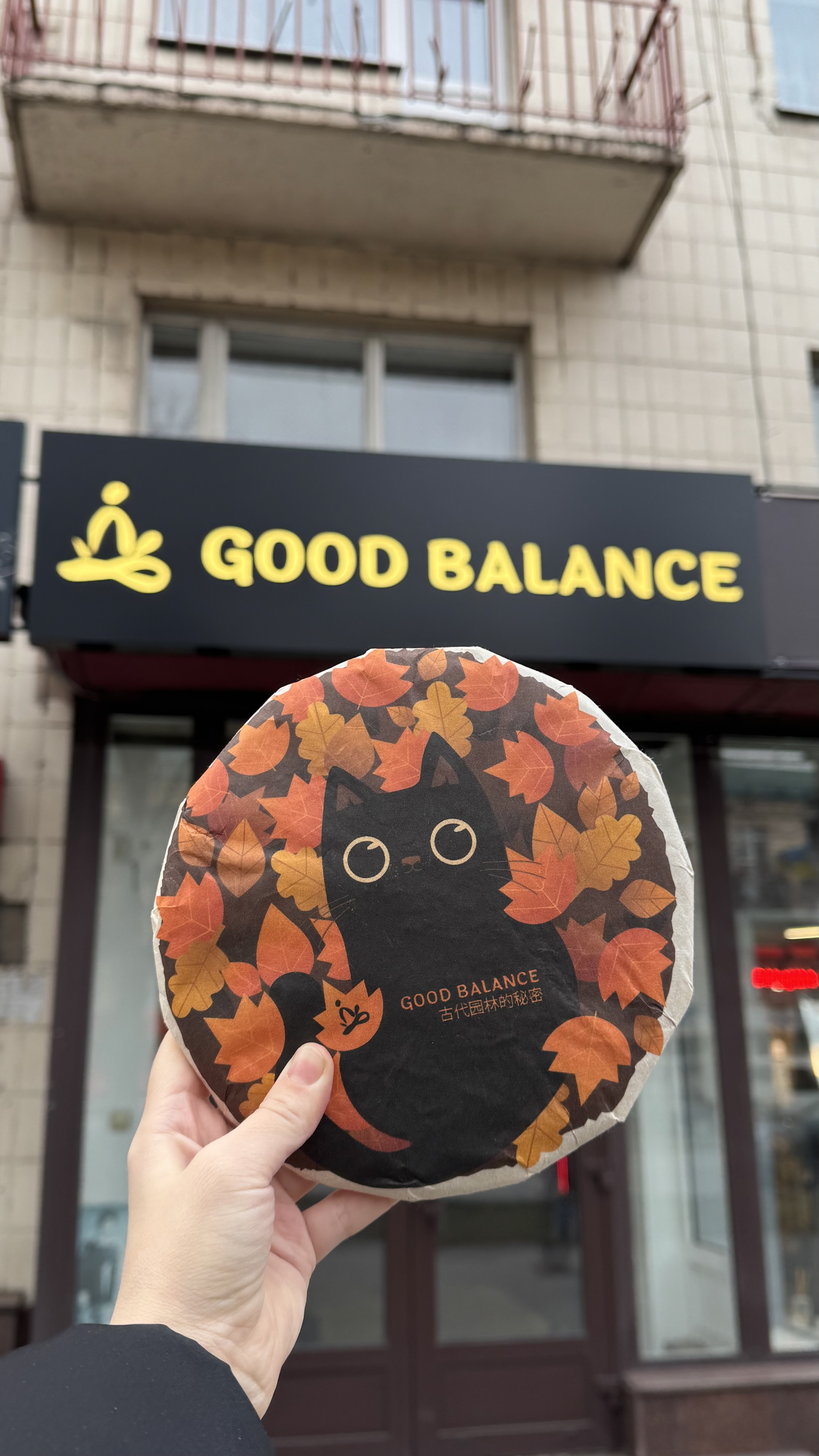GOOD BALANCE image 1