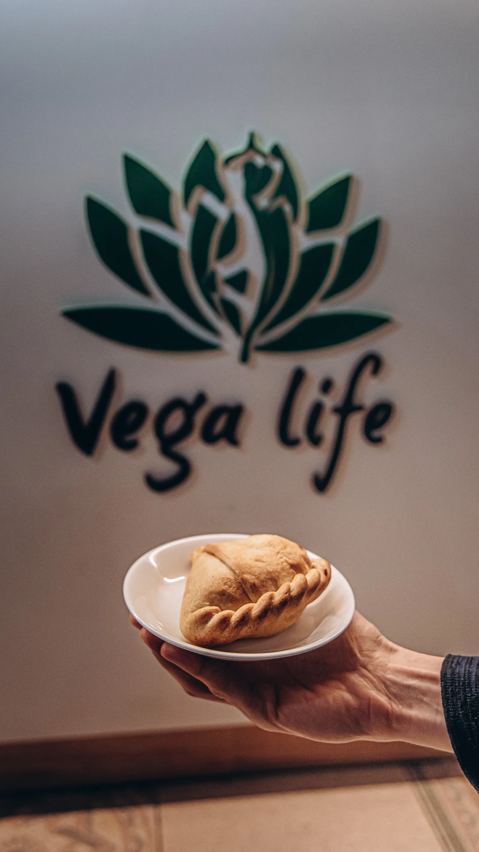 Vega life – здорова їжа з доставкою, на виніс. image 10