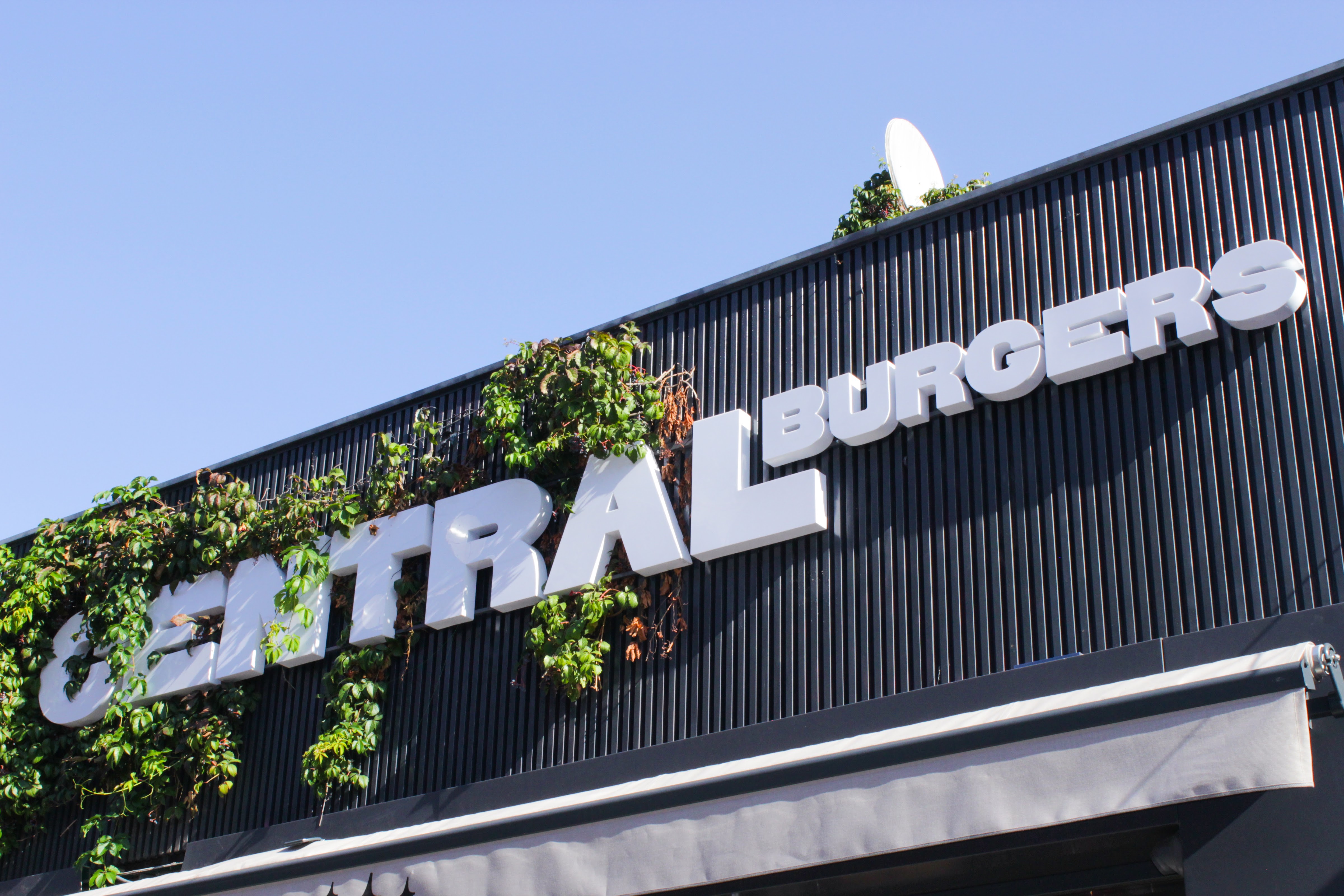Central Burgers image 3