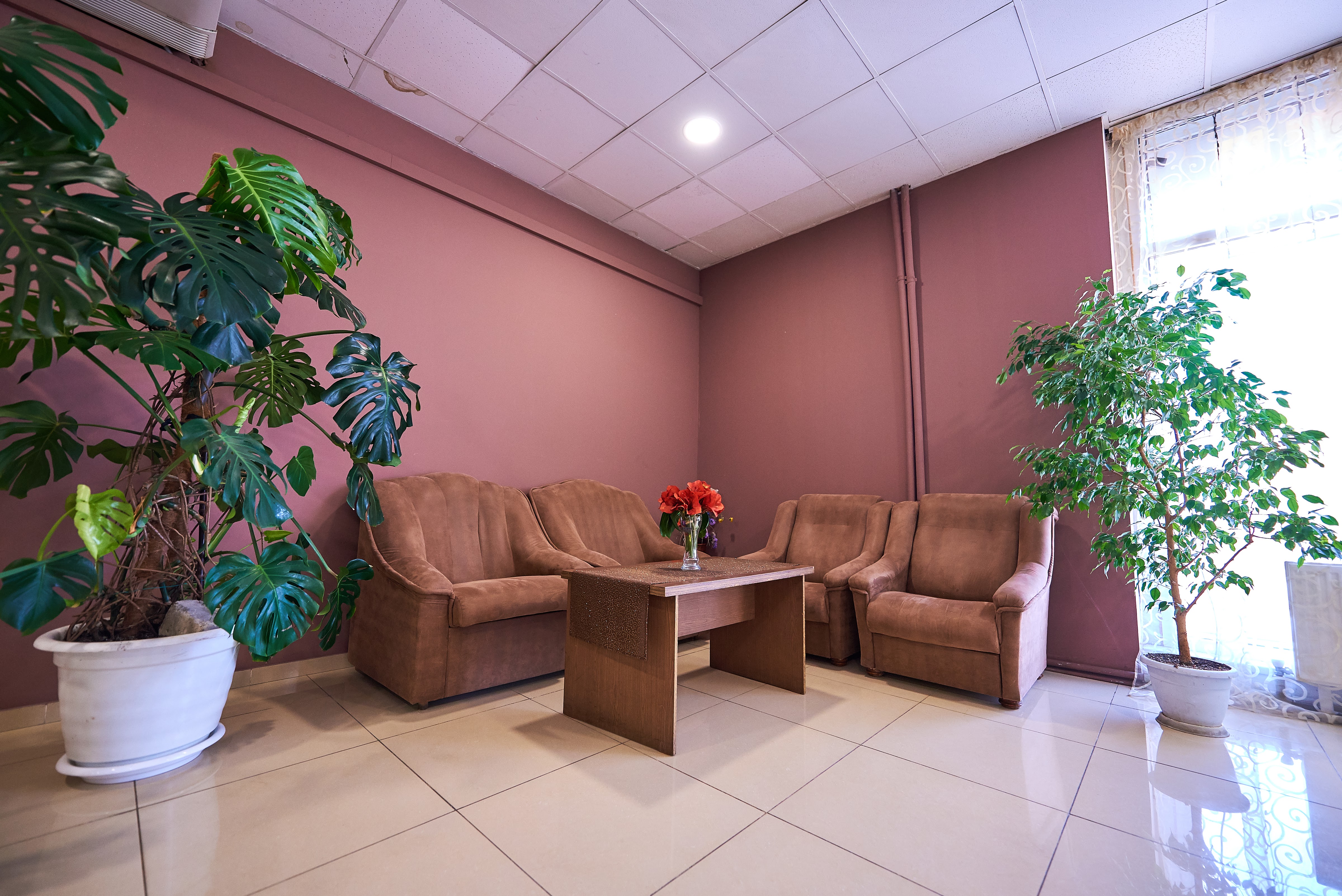 Kafe Shafran image 8