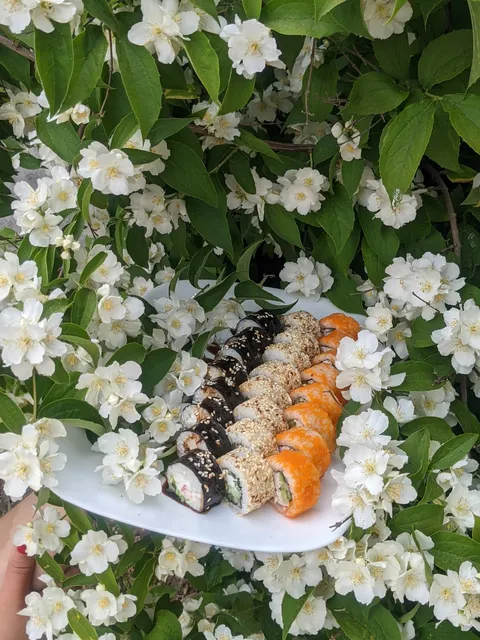 Sensei sushi image 2
