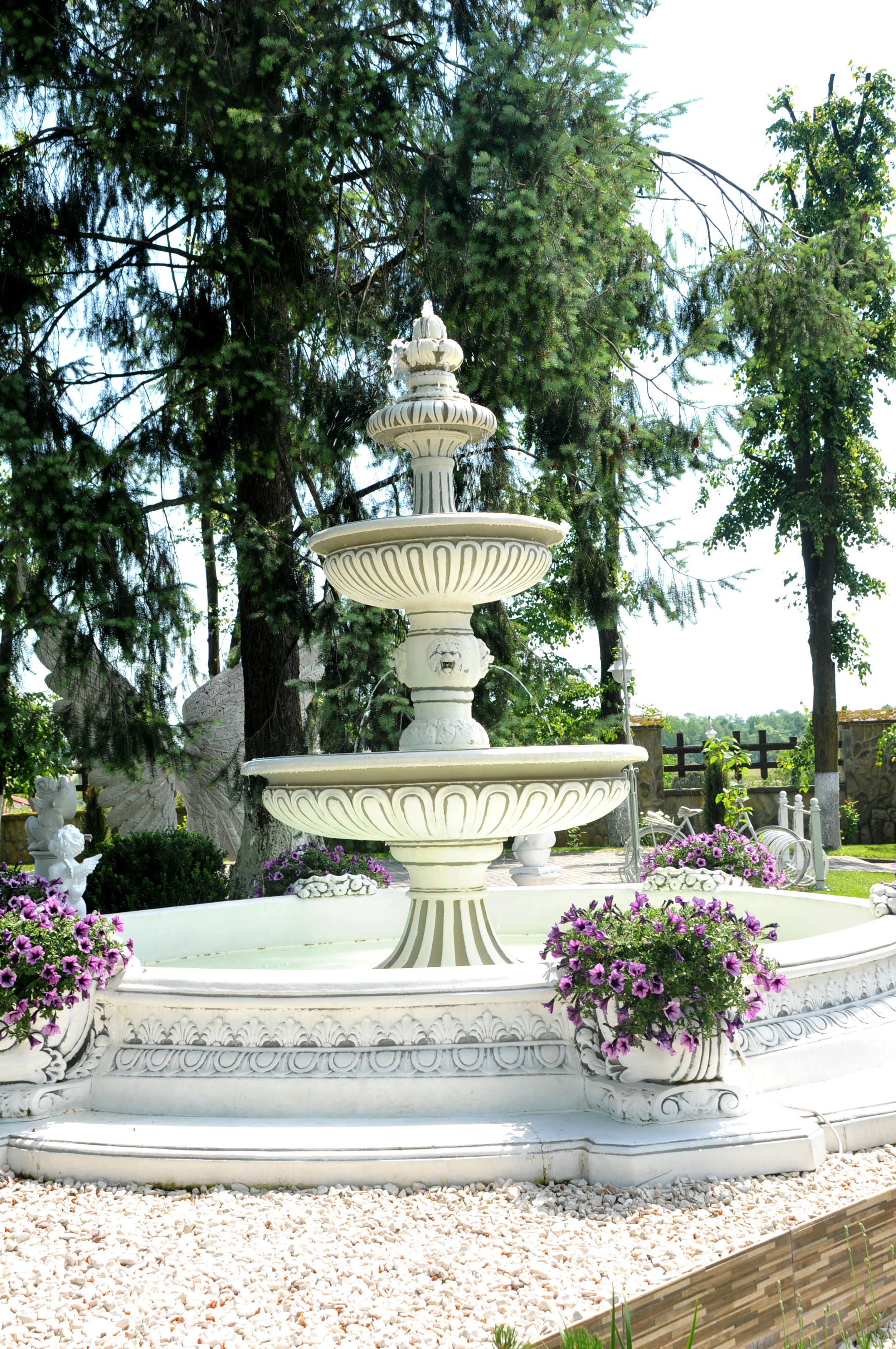Provans image 14
