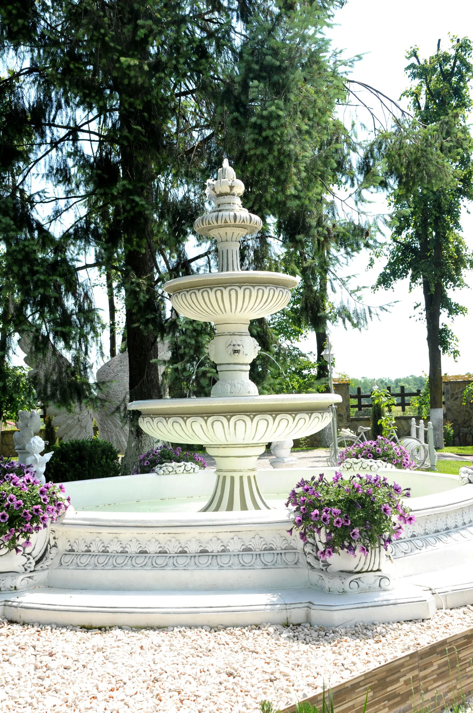 Provans image 14