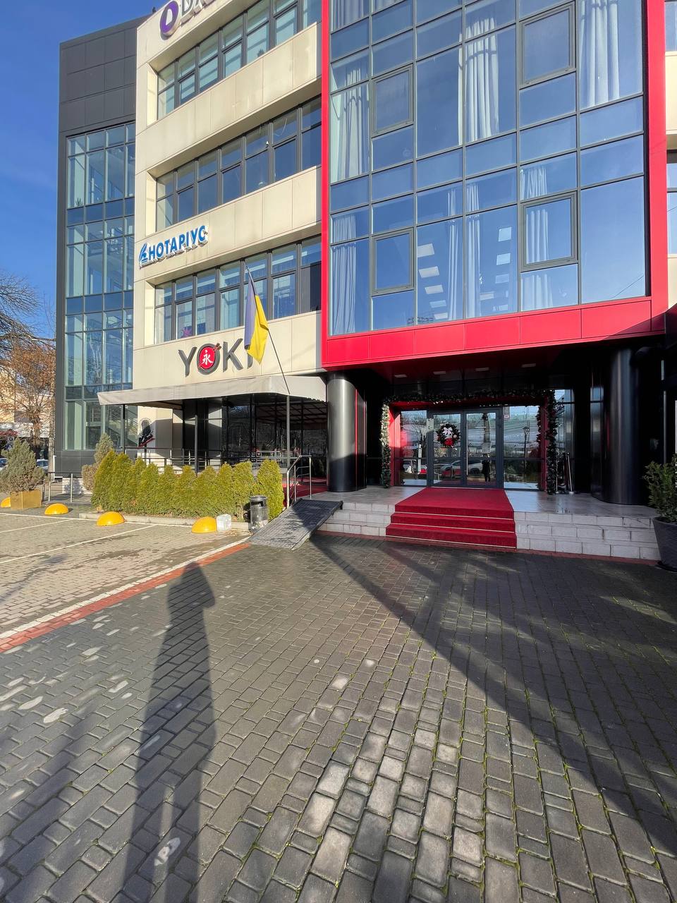 YOKI image 12