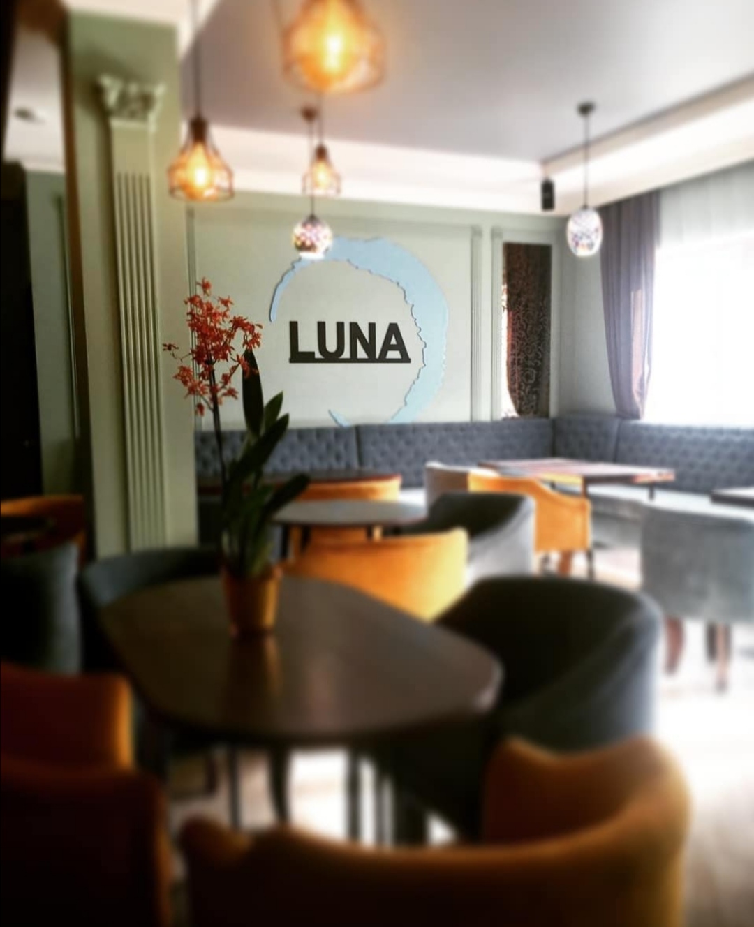 LUNA image 7
