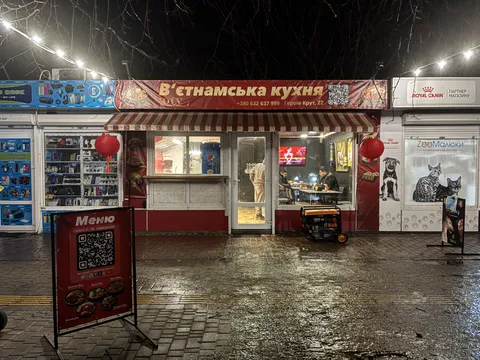 В’єтнамська кухня | DLV90s | cyber dragon image 1