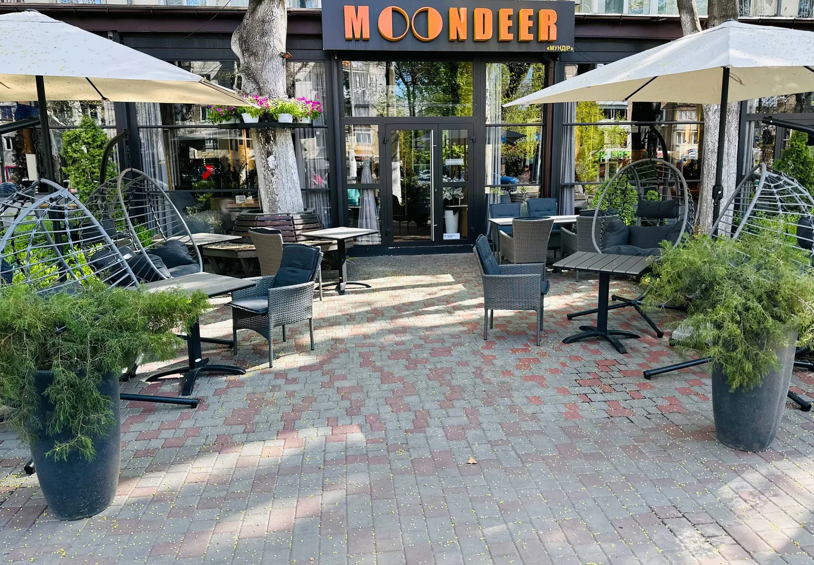 Moondeer image 11