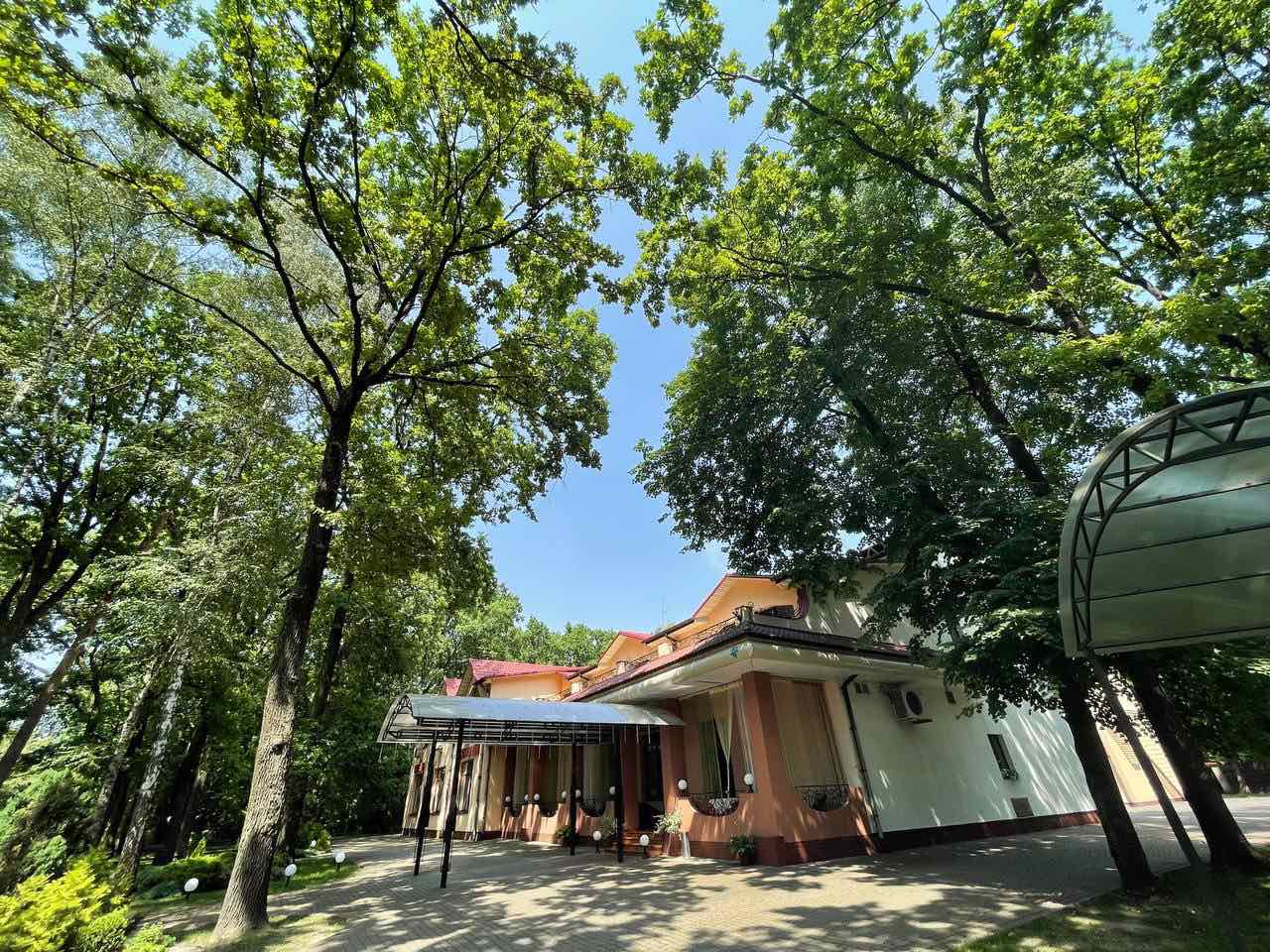 Zelenyi Gai image 23