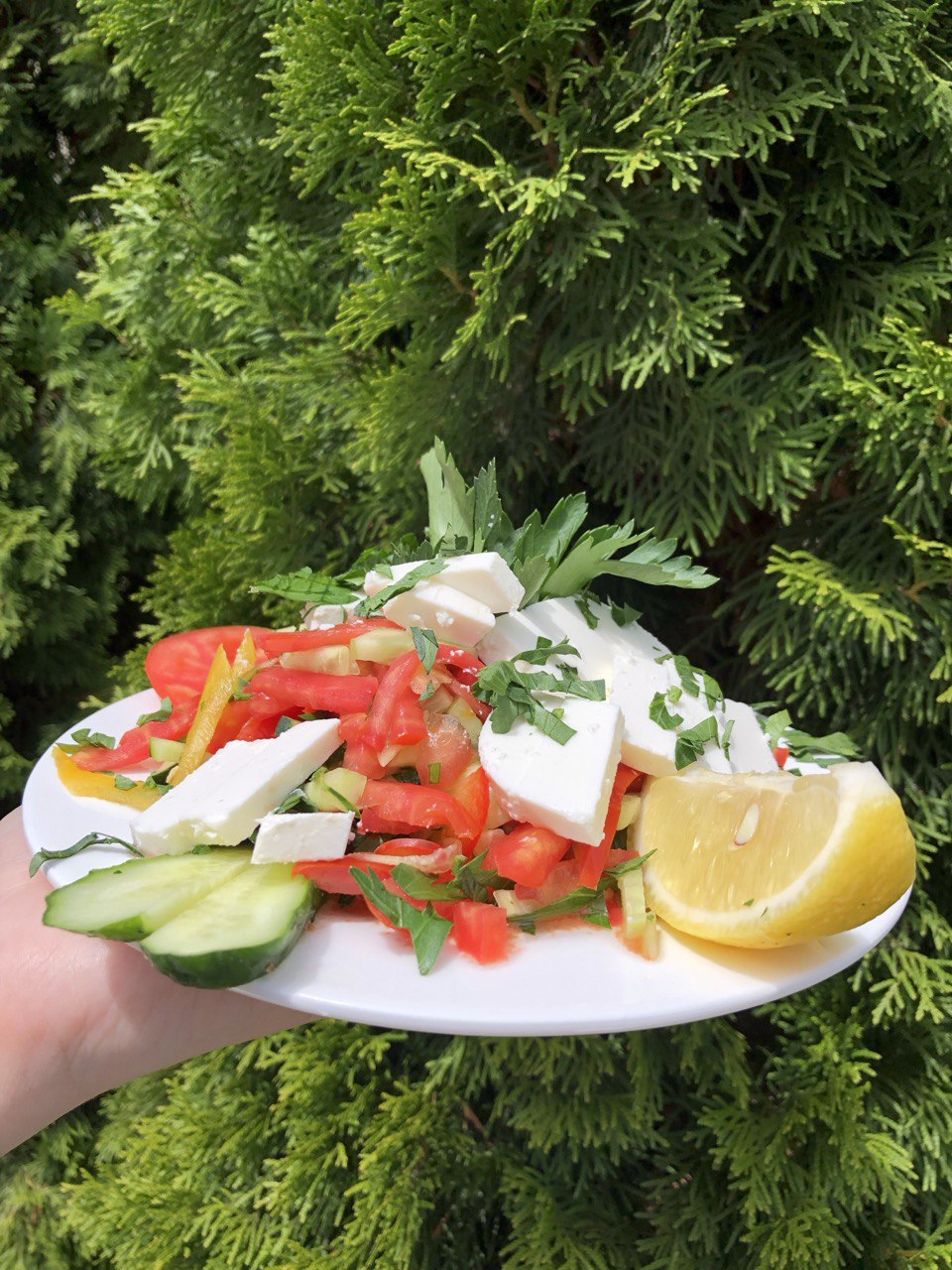 Turkish City Kebab House image 21