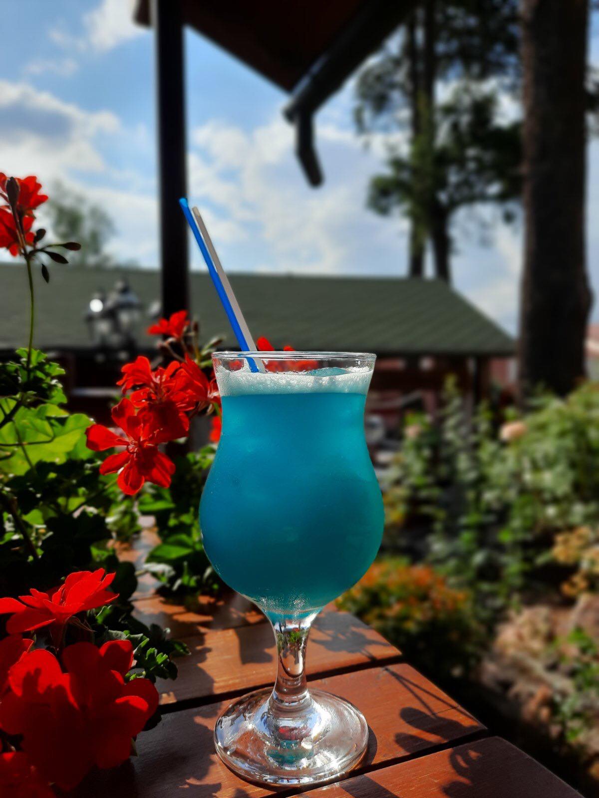 Restoran Zhayvoronok image 11