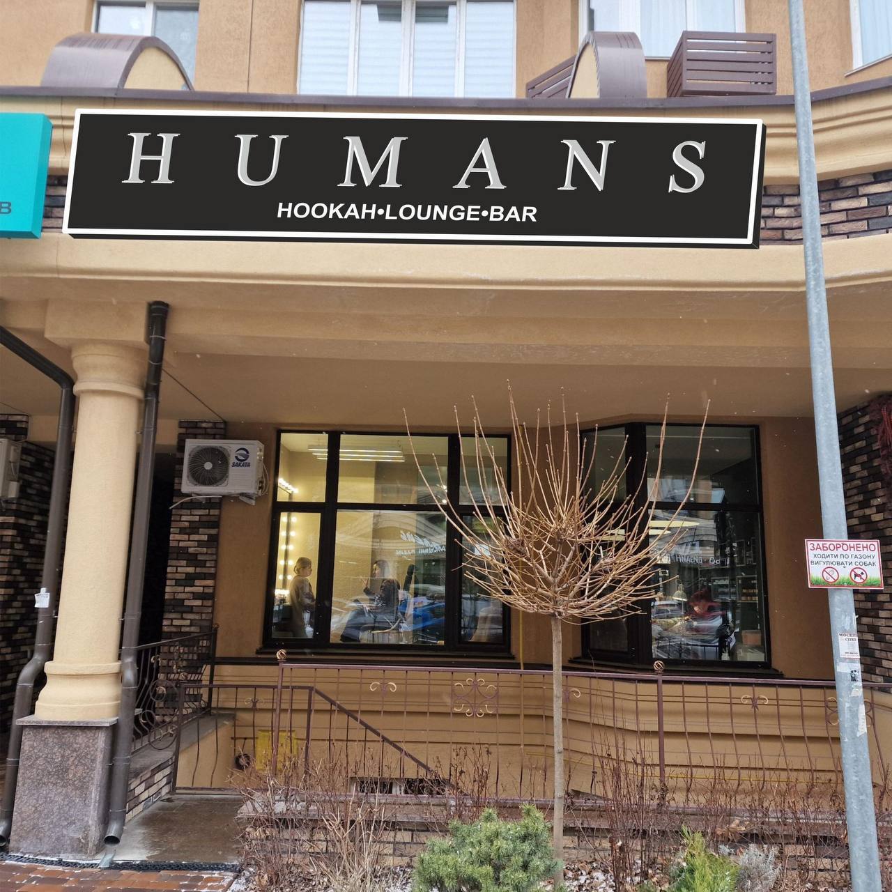Humans image 5