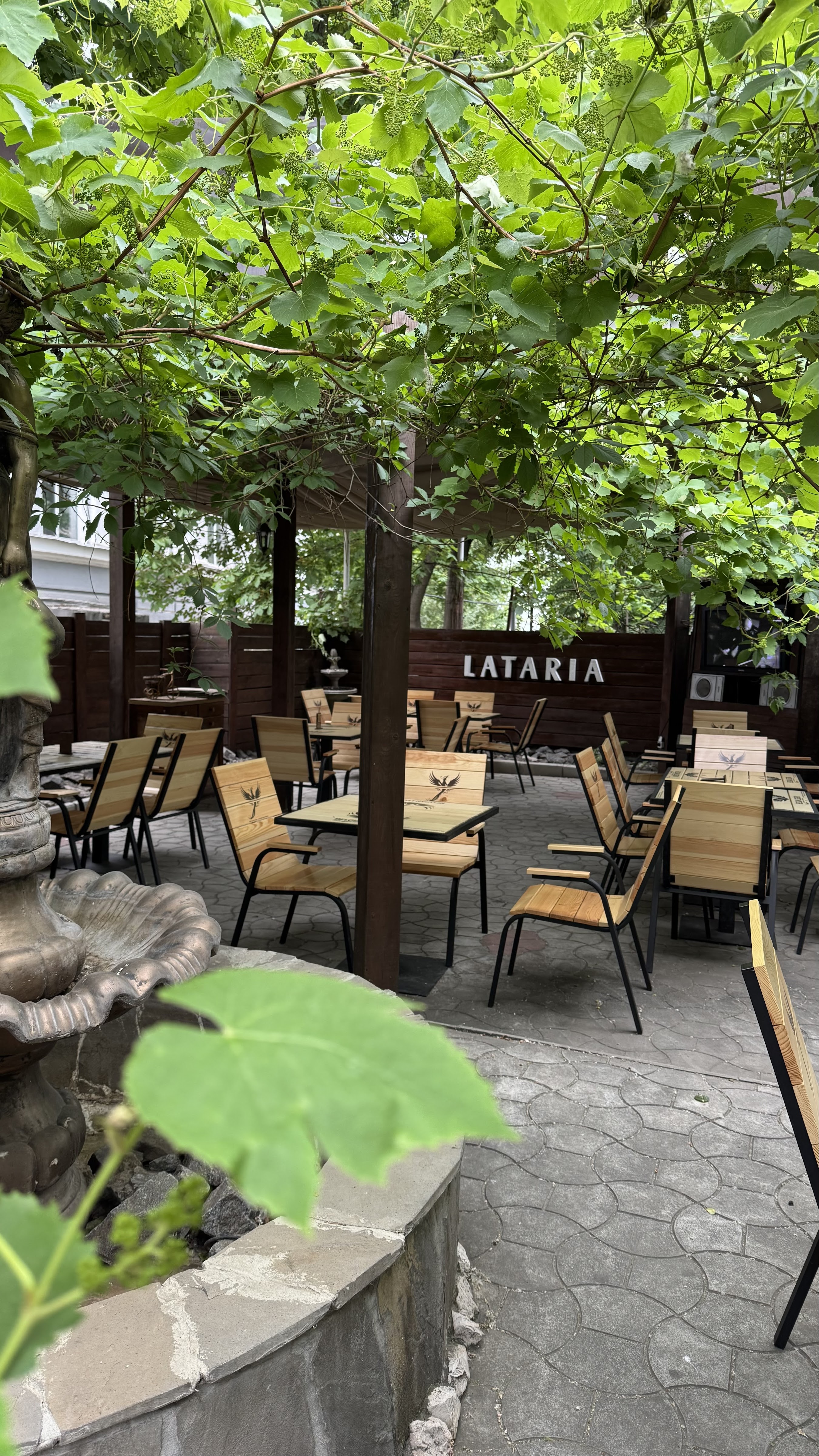 LATARIA image 11