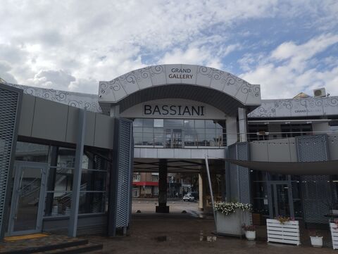 Bassiani image 2