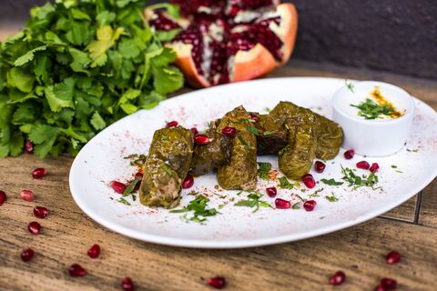 Gogi image 21