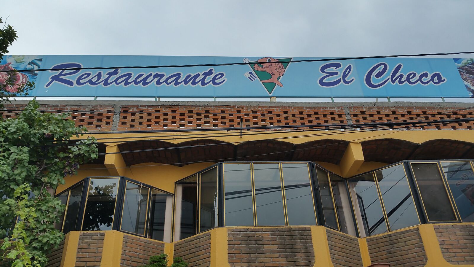 Logo