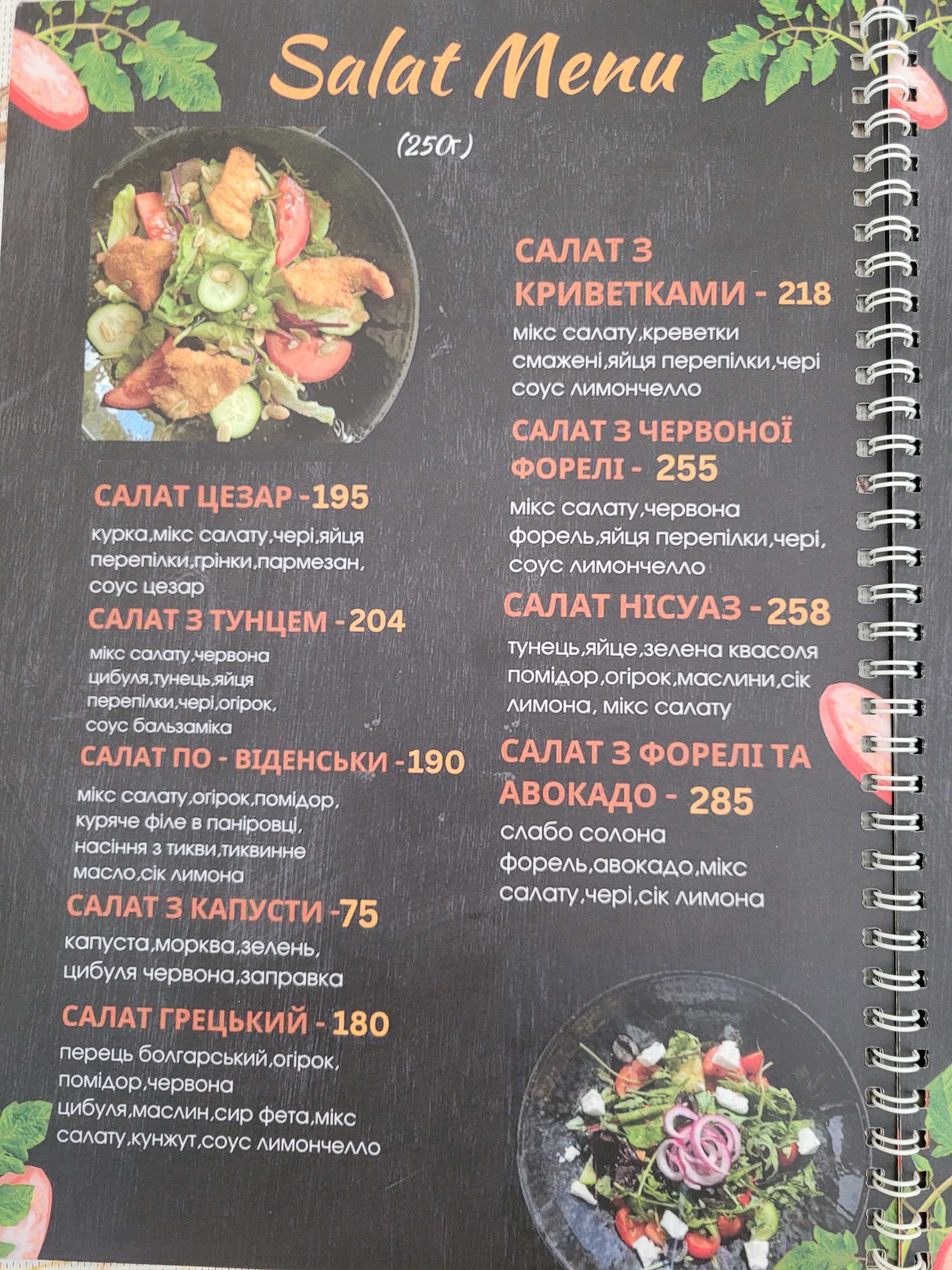 Pizza & Salat menu 7