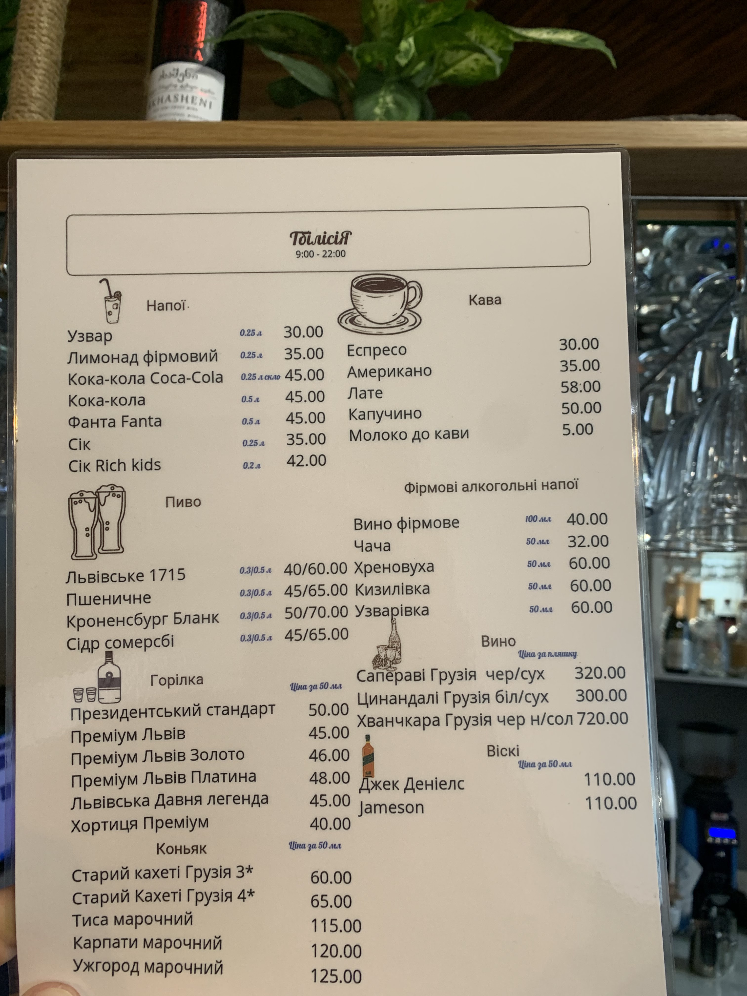 Tbilisiya Restoran Simeynoho Zatyshku menu 6