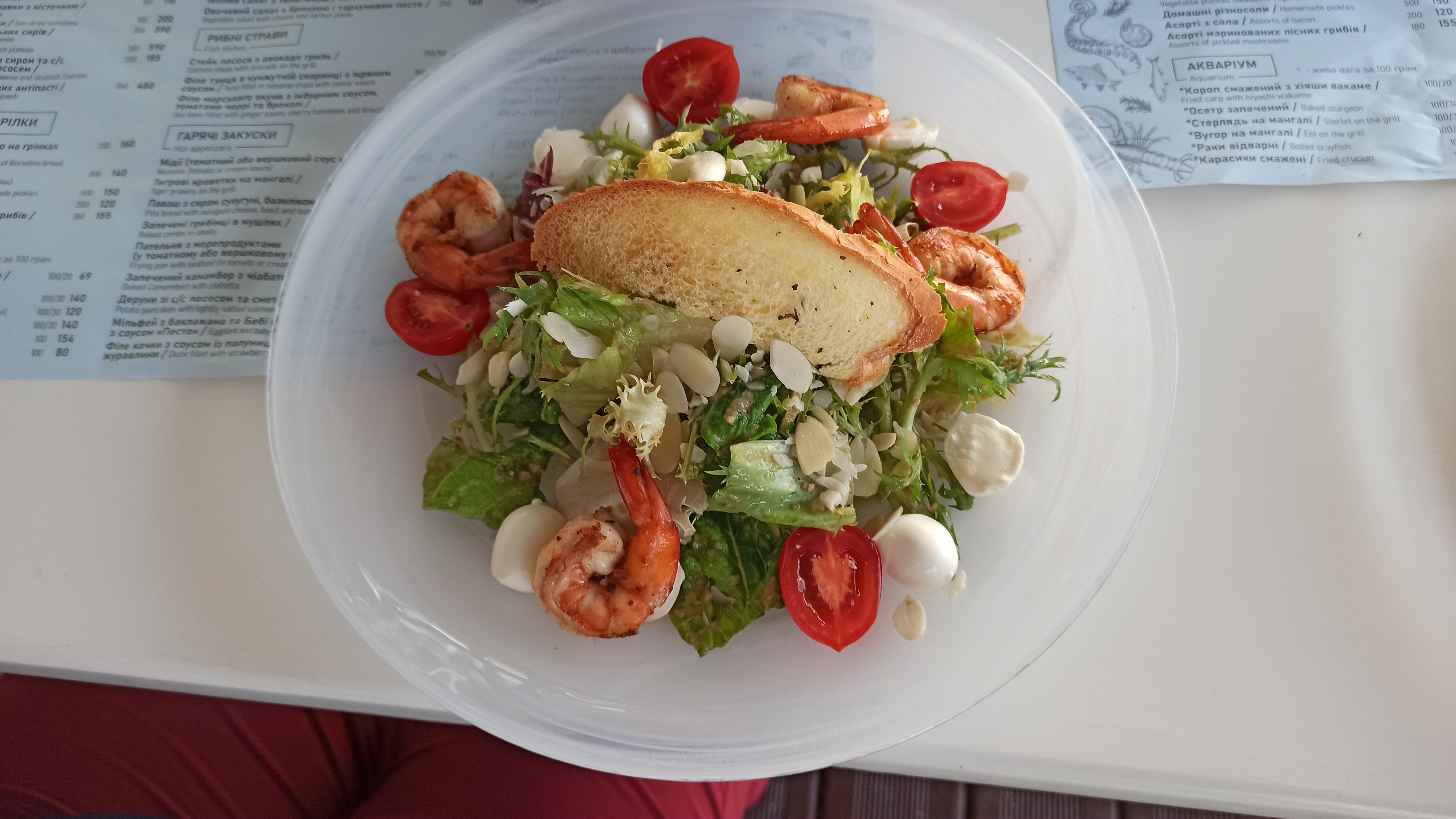 Castle Vidubichi menu 6