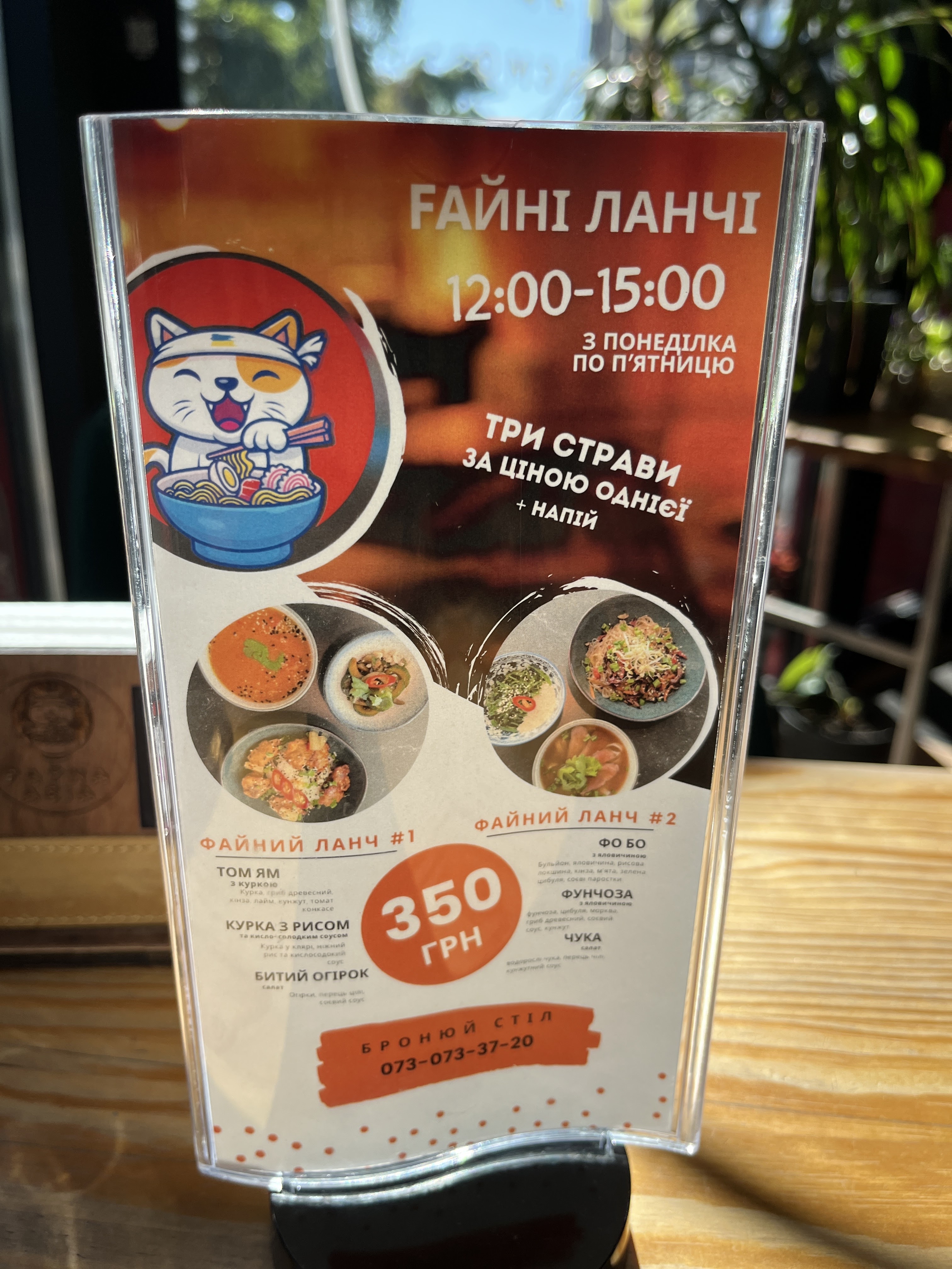 Fayna Asia menu 1