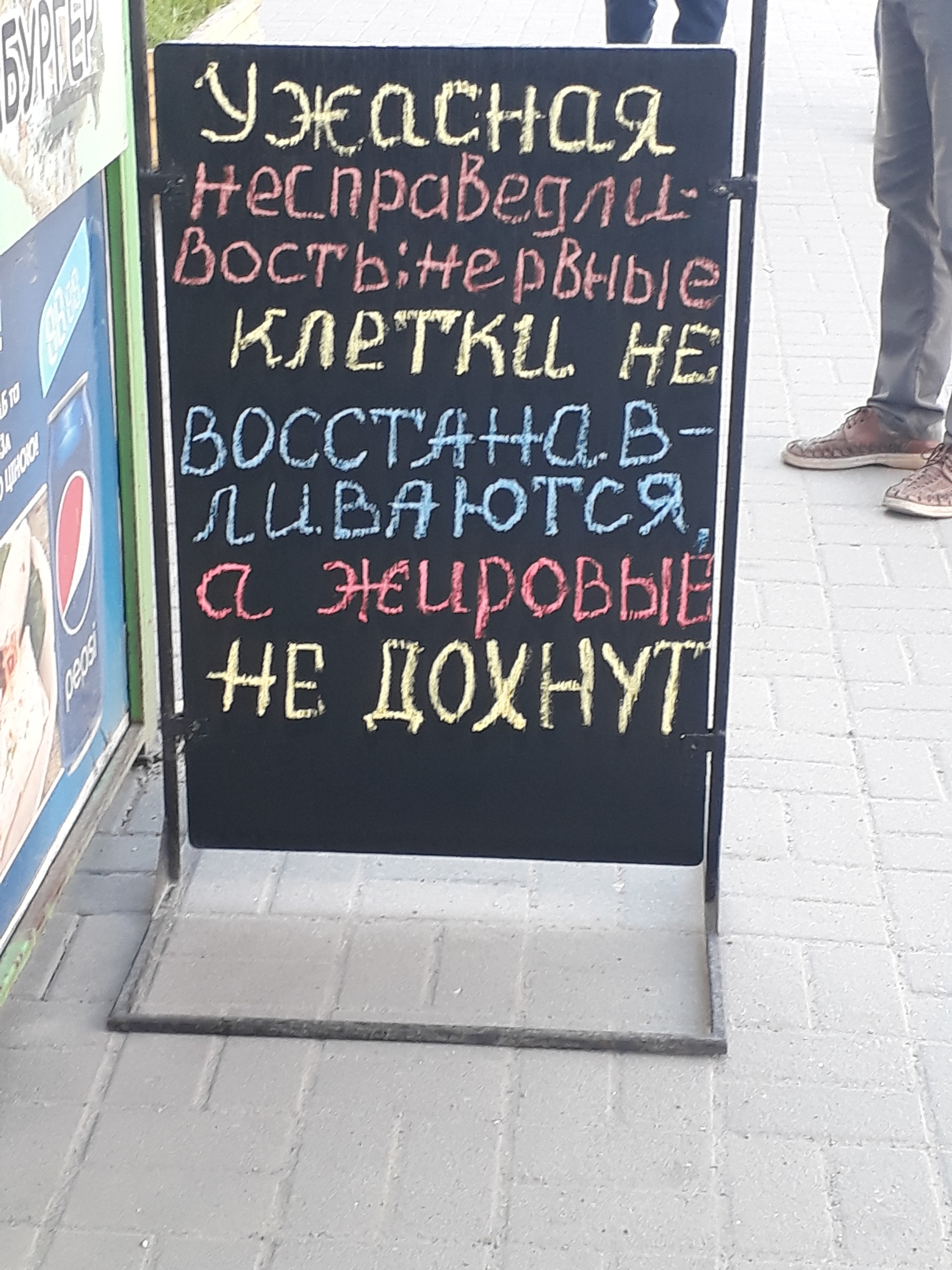 Pab Kebab menu 6