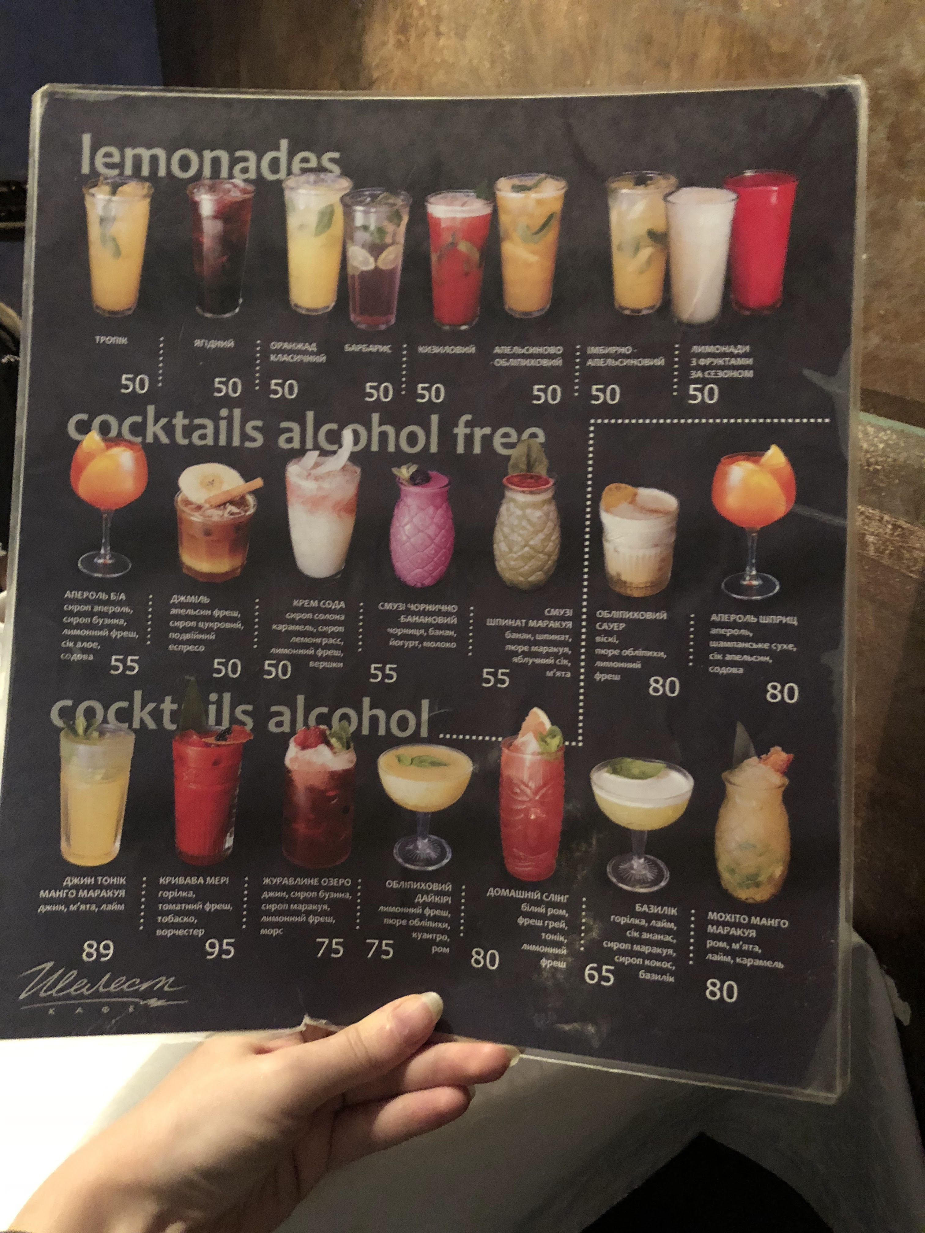 Shelest menu 11