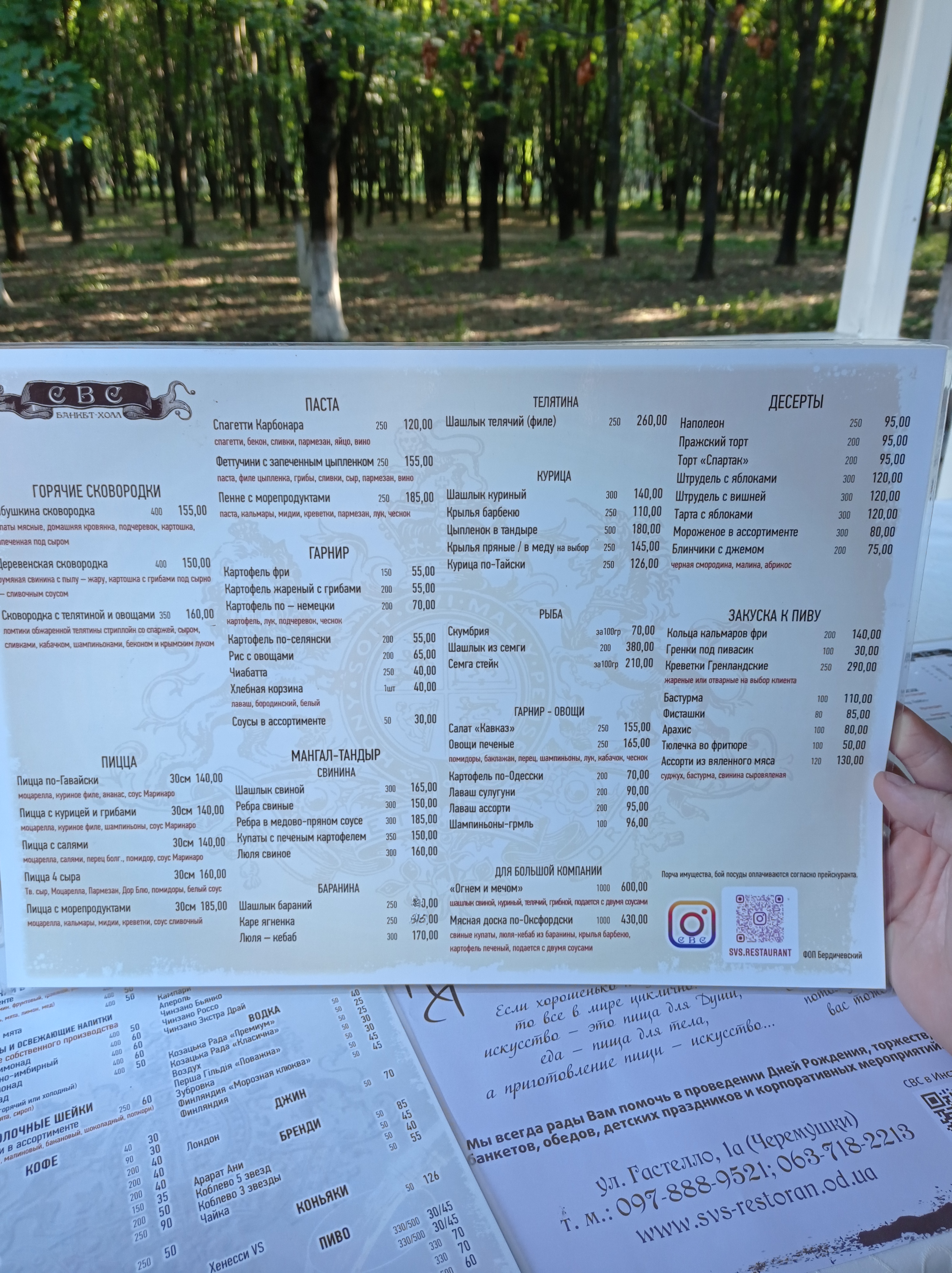 Svs menu 2