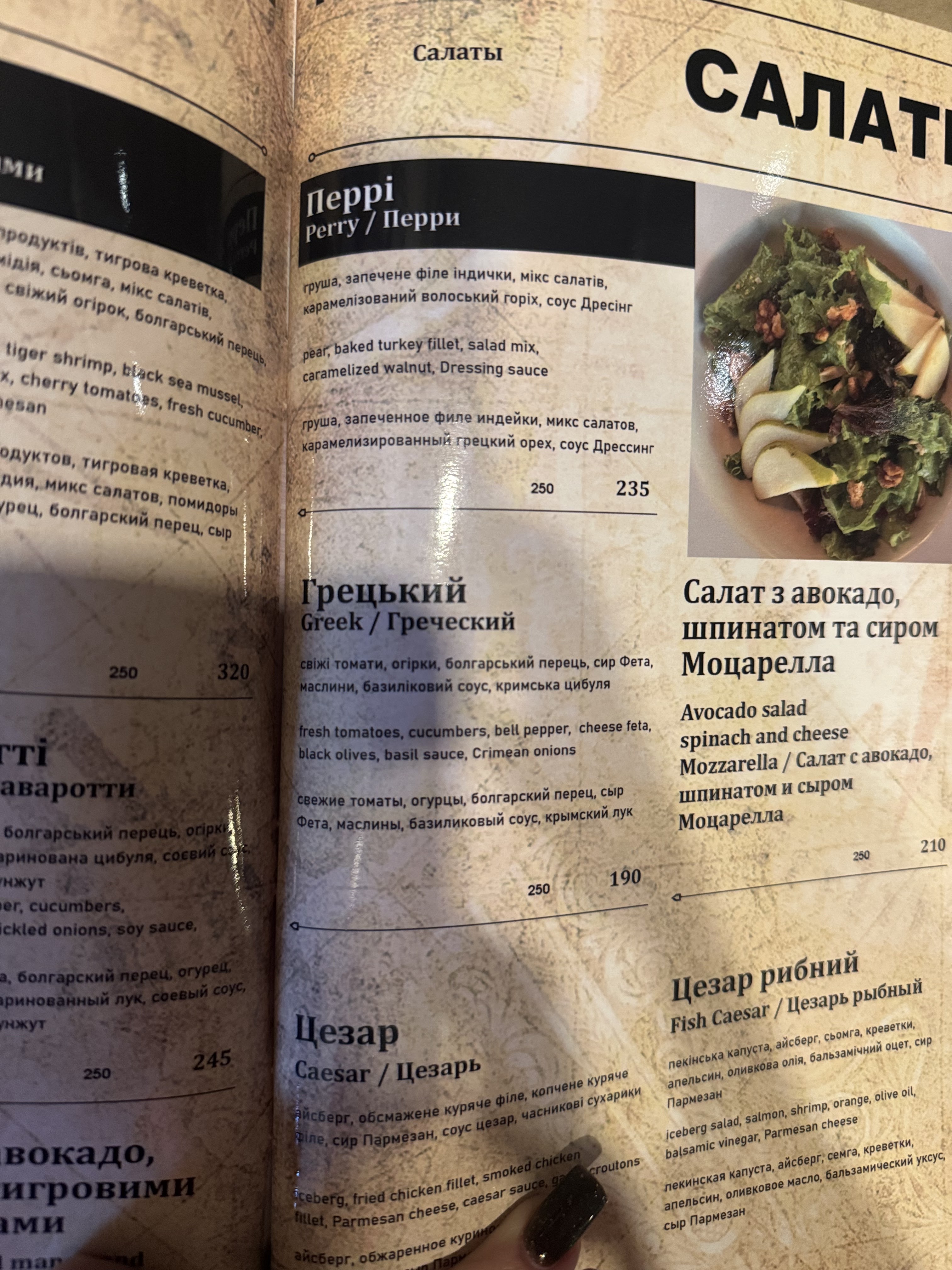 Fontan menu 2