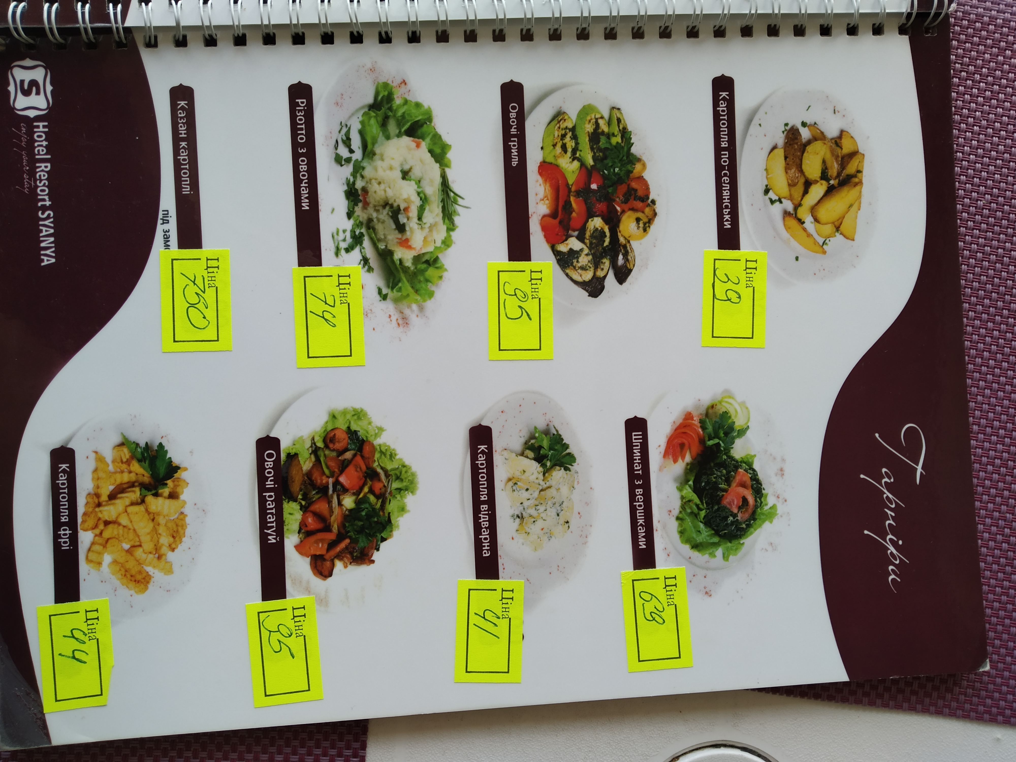 Syanya menu 8
