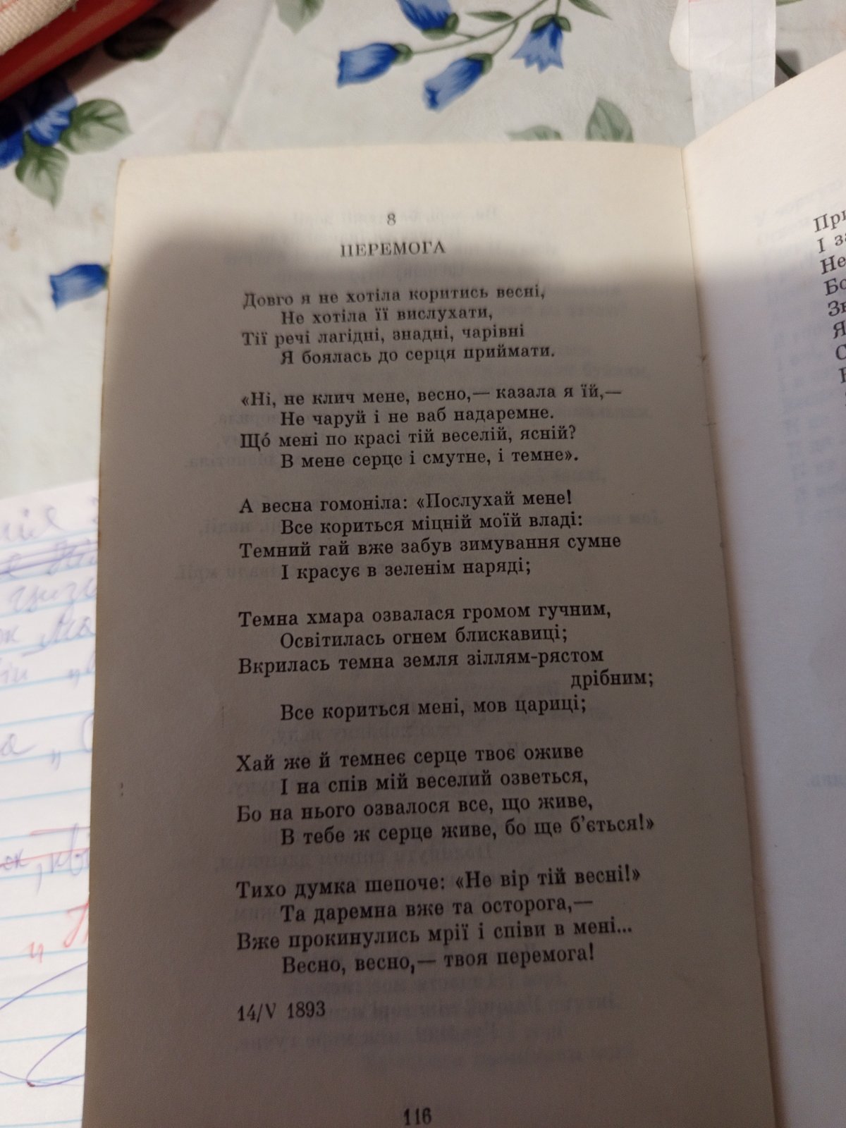 Kabachok menu 5